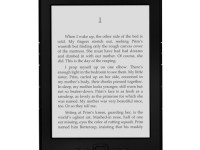 eBook Reader Kindle 6